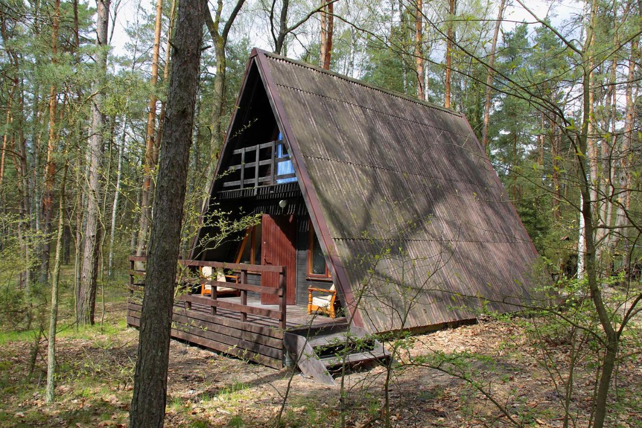 Domki W Wildze Skurcza Экстерьер фото