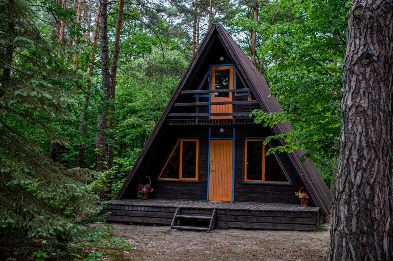 Domki W Wildze Skurcza Экстерьер фото